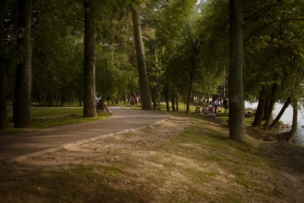 Boostez Vos Performances Physiques et Mentales avec la Sophrologie et le Sport